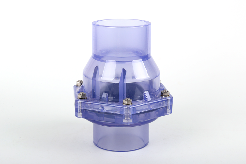 瓜州透明翻板式止回阀